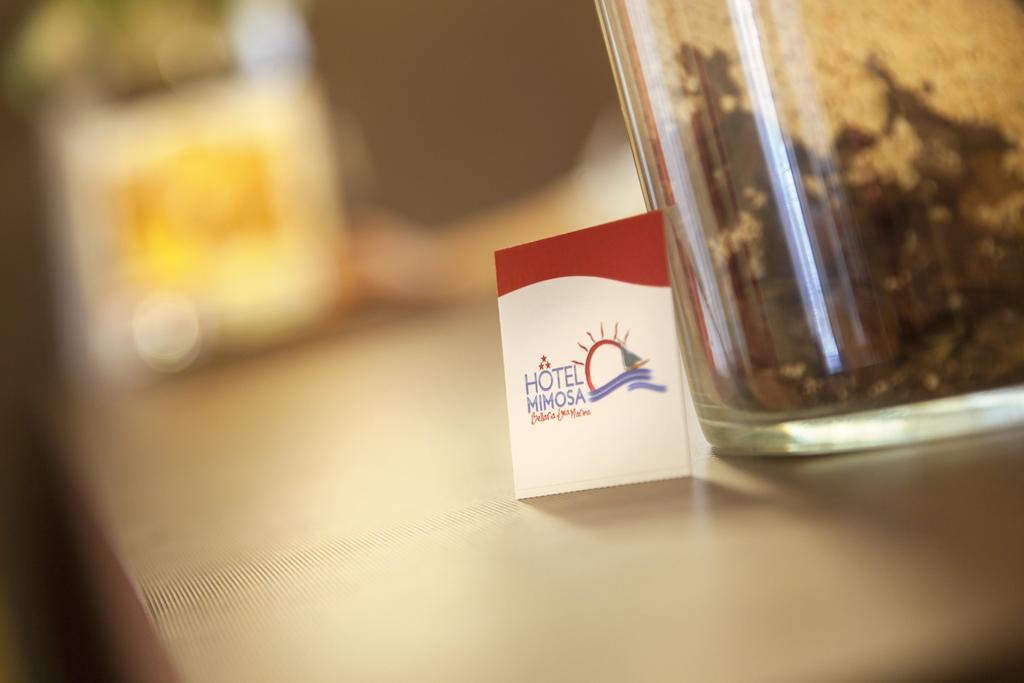 Hotel Mimosa Bellaria-Igea Marina Zewnętrze zdjęcie